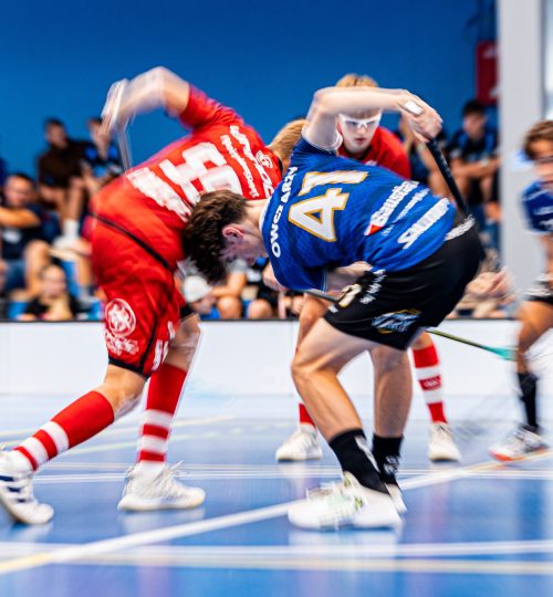 53158865804_c3c4acc9c9_k