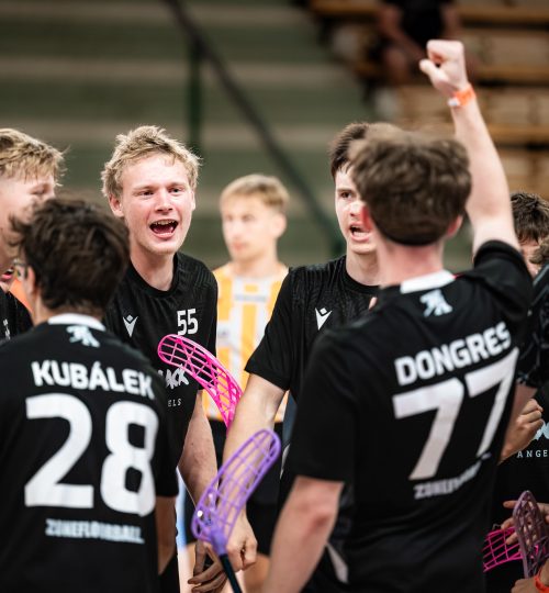 54755902322_139dfe6bc6_k